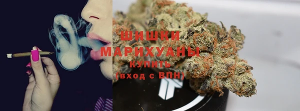 дмт Абаза