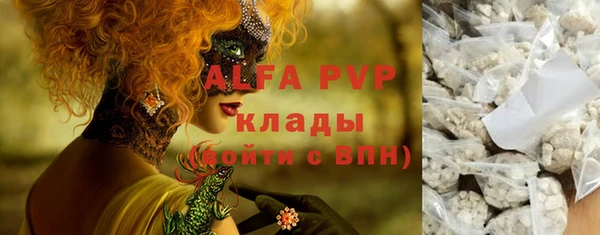 дмт Абаза