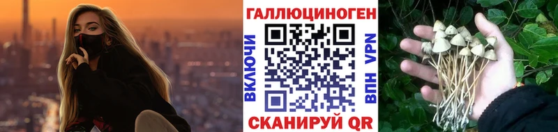 где продают наркотики  Монино  Псилоцибиновые грибы Psilocybe 